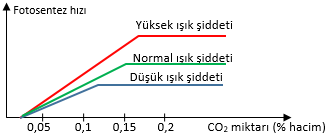 Işık Şiddeti ve CO2 Miktarının Fotosentez Hızına Birlikte Etkisi